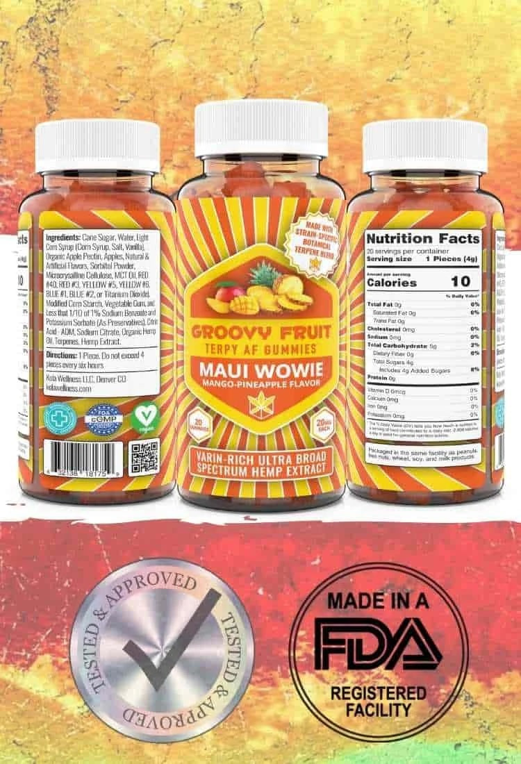 Groovy Fruit Terpy AF Gummies - E Vapor Hut